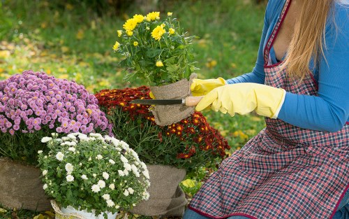 Professional gardeners working on a Gipsy Hill garden